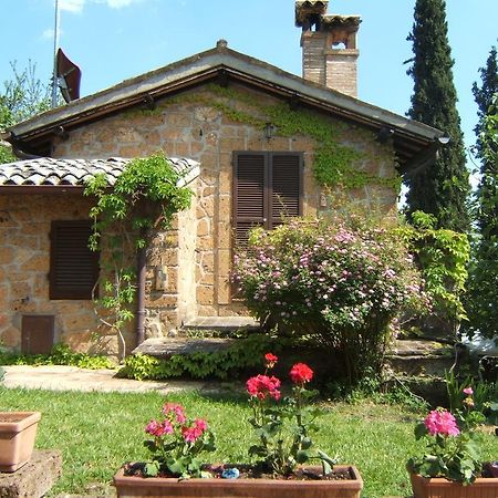 B&B Casaselita Орвието Екстериор снимка