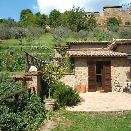 B&B Casaselita Орвието Екстериор снимка